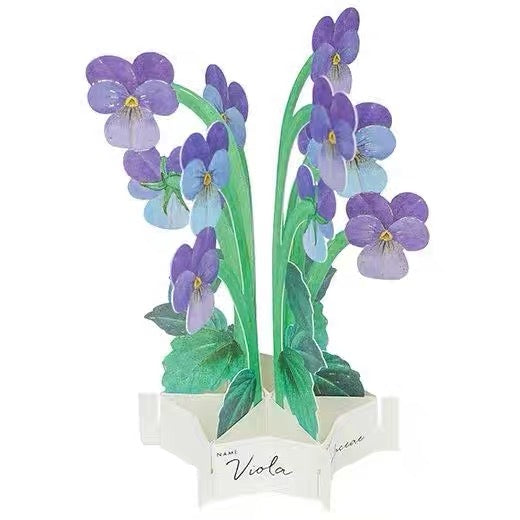 Greeting Life Pop-Up Card