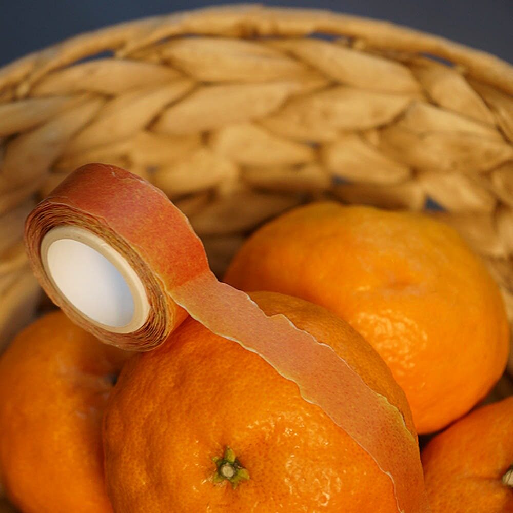 Zagne Fruit Peel Washi Tape