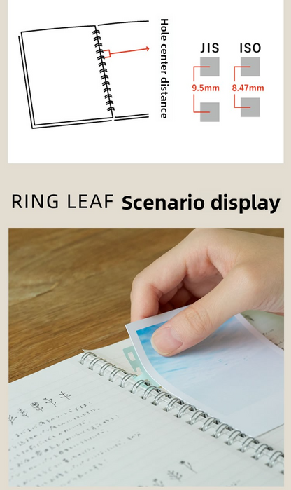 Kanmido Ring Leaf Binder Stickers