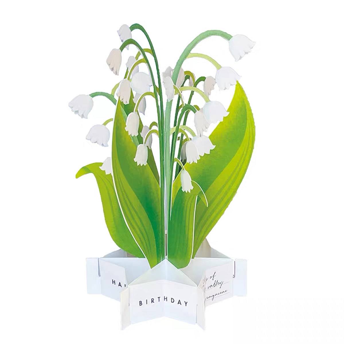 Greeting Life Pop-Up Card