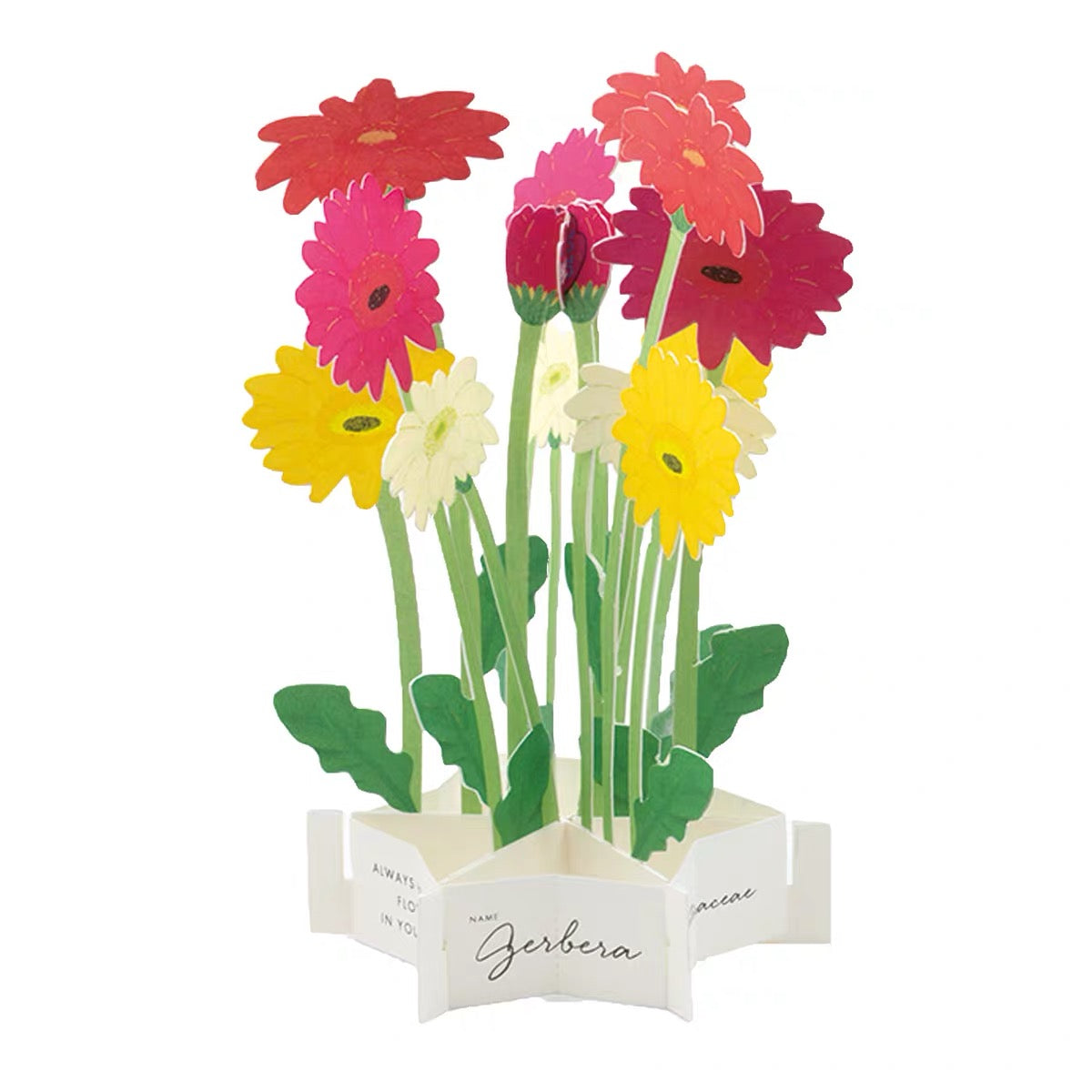Greeting Life Pop-Up Card