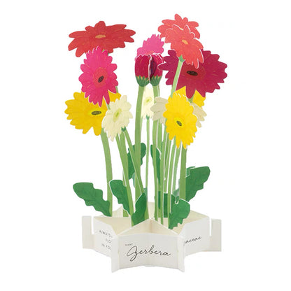 Greeting Life Pop-Up Card