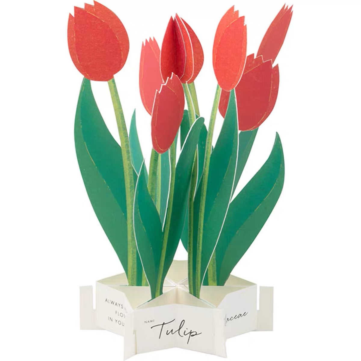Greeting Life Pop-Up Card