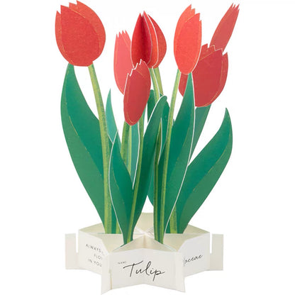 Greeting Life Pop-Up Card