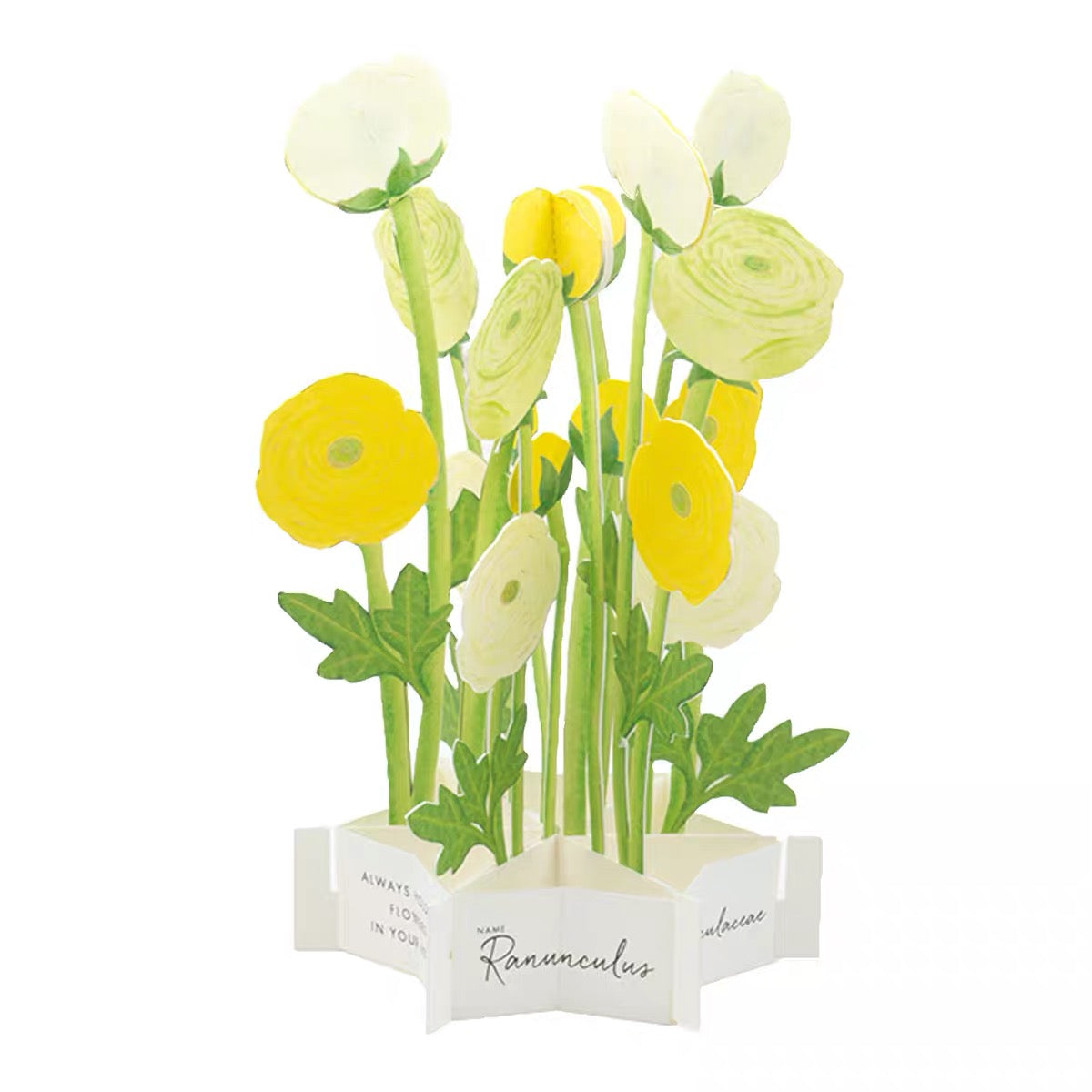 Greeting Life Pop-Up Card