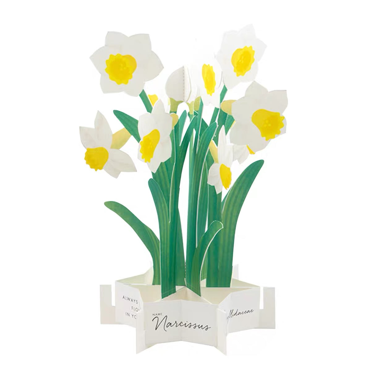 Greeting Life Pop-Up Card