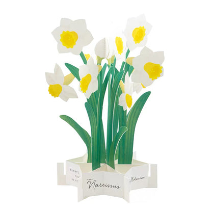 Greeting Life Pop-Up Card
