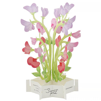 Greeting Life Pop-Up Card