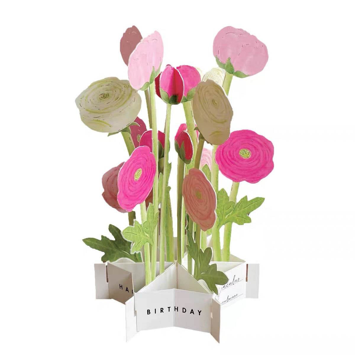 Greeting Life Pop-Up Card