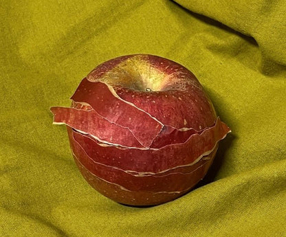 Zagne Fruit Peel Washi Tape