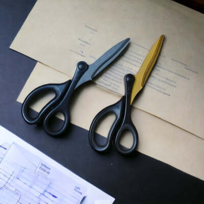 Raymay Swingcut Scissors