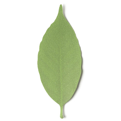 +d Leaf Thermometer Bookmark